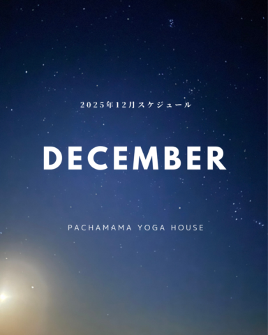 202512月スケジュール